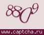 Liczba do wpisania