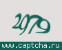 Liczba do wpisania